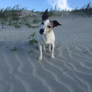 Meet your Posher, Missy